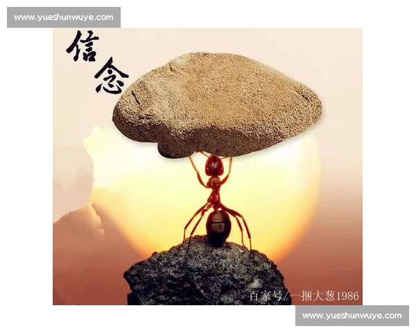 在全国赛事中荣获大奖的背后:一步步走向成功的努力与坚持 在全国赛事中荣获大奖的背后:一步步走向成功的努力与坚持