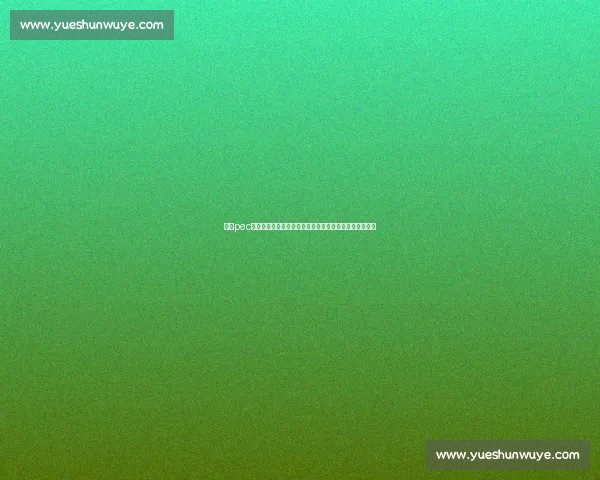 聚焦pec比赛的创新机制与选手成长全景观察赛题分析与策略评估