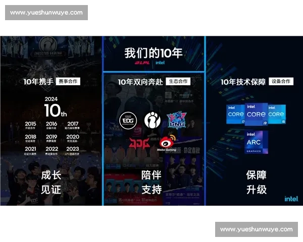 英雄联盟比赛中各大英雄的战略定位与竞技表现分析